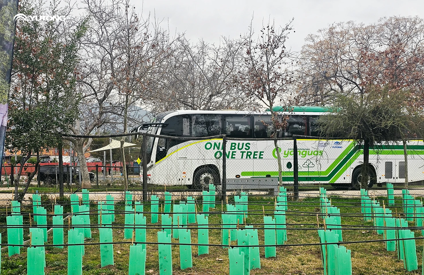 Yutong Launches 2026 Net Zero Forest Program: Bringing 44,218 Trees to Gansu in the First Phase Yutong Launches 2026 Net Zero Forest Program: Bringing 44,218 Trees to Gansu in the First Phase
