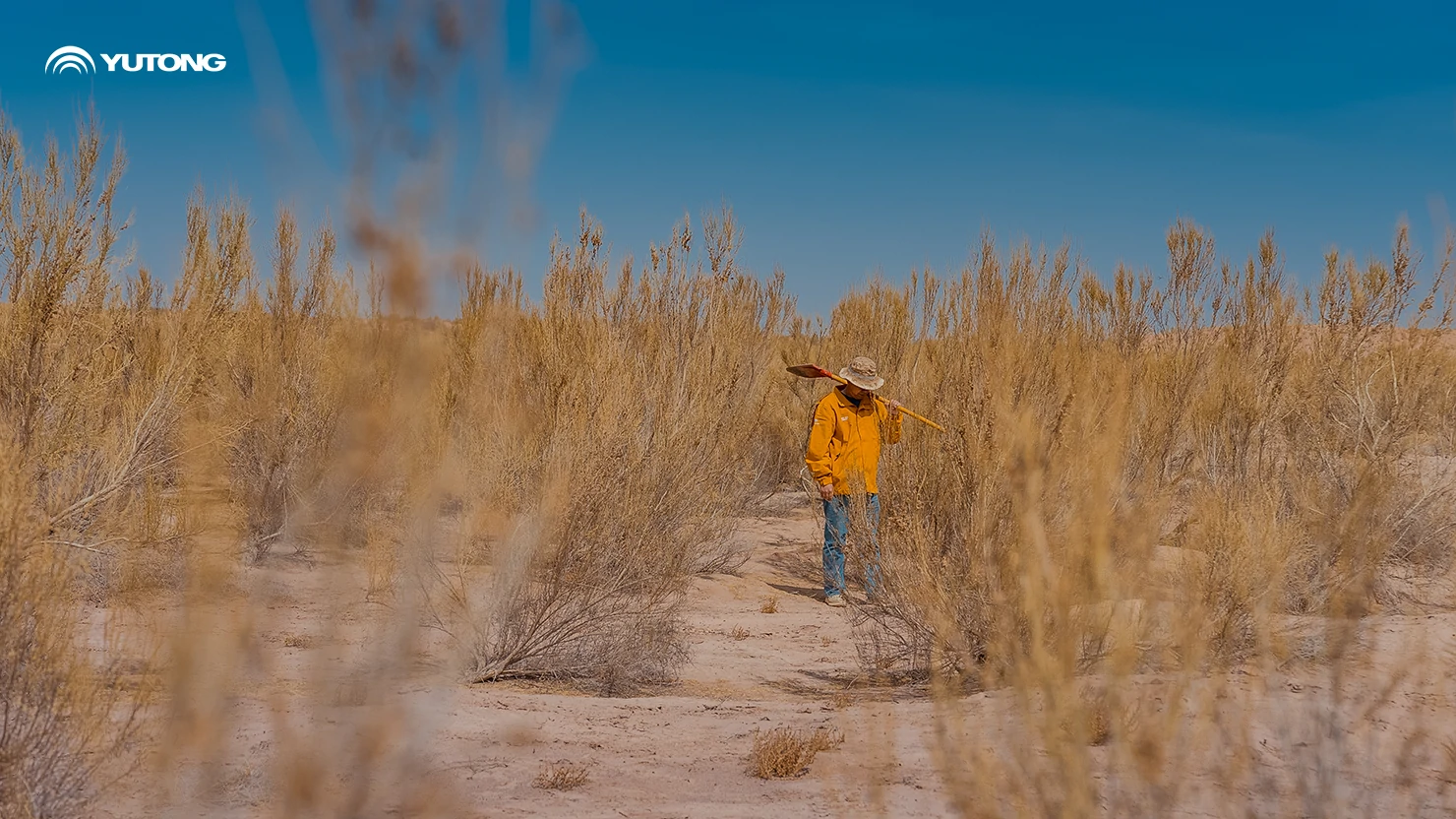 Yutong Launches 2026 Net Zero Forest Program: Bringing 44,218 Trees to Gansu in the First Phase Yutong Launches 2026 Net Zero Forest Program: Bringing 44,218 Trees to Gansu in the First Phase